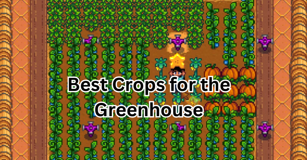 Best Crops for the Greenhouse