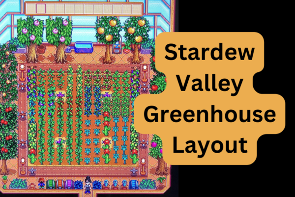 Stardew Valley Greenhouse Layout