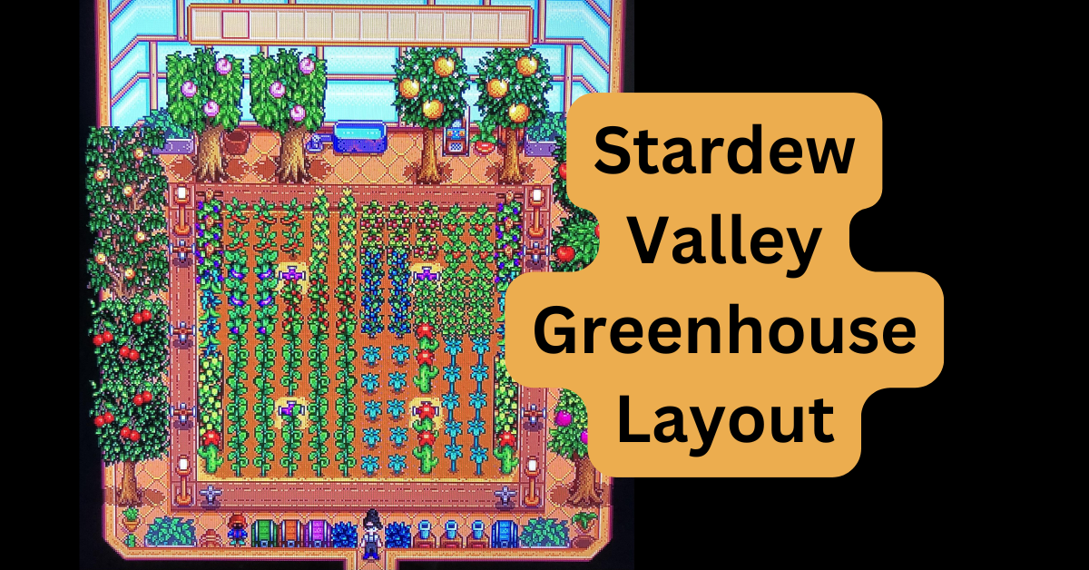 Stardew Valley Greenhouse Layout